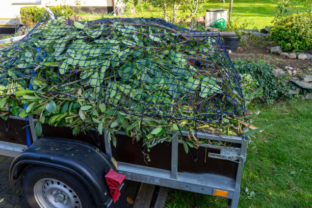 Best Hoarding Cleanup  in Breezy Point, MN